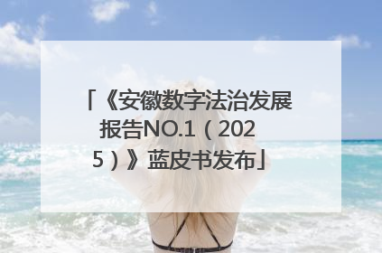《安徽数字法治发展报告NO.1（2025）》蓝皮书发布