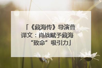 《藏海传》导演曹译文：肖战赋予藏海“致命”吸引力