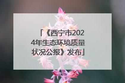 《西宁市2024年生态环境质量状况公报》发布
