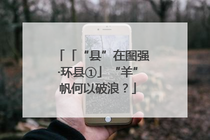 「“县”在图强·环县①」“羊”帆何以破浪？