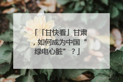 「甘快看」甘肃，如何成为中国“绿电心脏”？