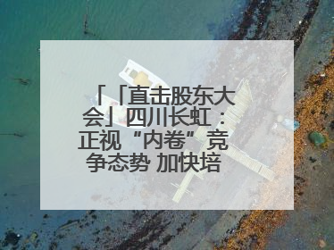 「直击股东大会」四川长虹：正视“内卷”竞争态势 加快培育发展新动能