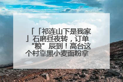「祁连山下是我家」石磨昼夜转，订单“粮”辰到！高台这个村靠黑小麦面粉拿下成立来最大订单