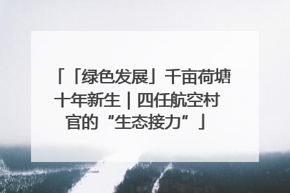 「绿色发展」千亩荷塘 十年新生｜四任航空村官的“生态接力”