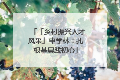 「乡村振兴人才风采」申学林：扎根基层践初心