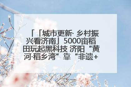 「城市更新· 乡村振兴看济南」5000亩稻田玩起黑科技 济阳“黄河·稻乡湾”靠“非遗+露营”火出圈