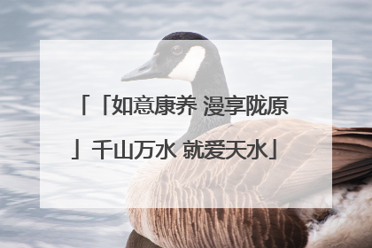 「如意康养 漫享陇原」千山万水 就爱天水