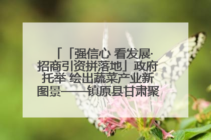 「强信心 看发展·招商引资拼落地」政府托举 绘出蔬菜产业新图景——镇原县甘肃聚广利现代设施蔬菜种植基地见闻