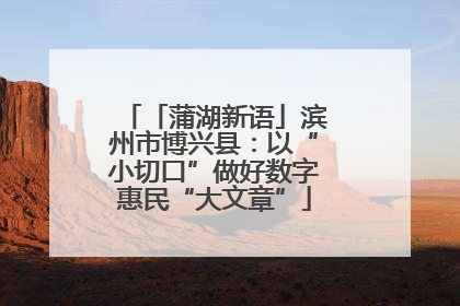 「蒲湖新语」滨州市博兴县：以“小切口”做好数字惠民“大文章”