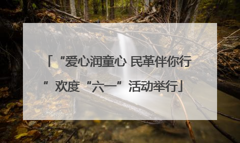 “爱心润童心 民革伴你行”欢度“六一”活动举行