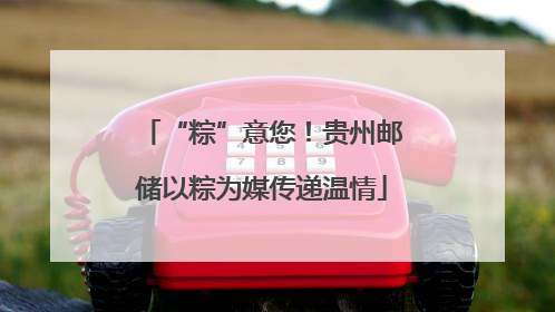 “粽”意您！贵州邮储以粽为媒传递温情
