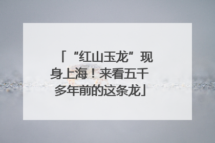 “红山玉龙”现身上海！来看五千多年前的这条龙