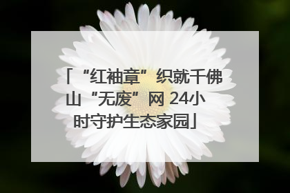 “红袖章”织就千佛山“无废”网 24小时守护生态家园