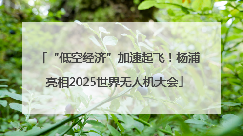 “低空经济”加速起飞！杨浦亮相2025世界无人机大会