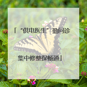 “供电医生”勤问诊 集中修整保畅通