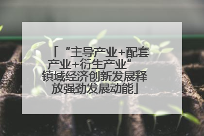 “主导产业+配套产业+衍生产业” 镇域经济创新发展释放强劲发展动能