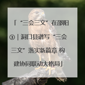 “三会三文”在邵阳③｜洞口县谱写“三会三文”落实新篇章 构建协同联动大格局