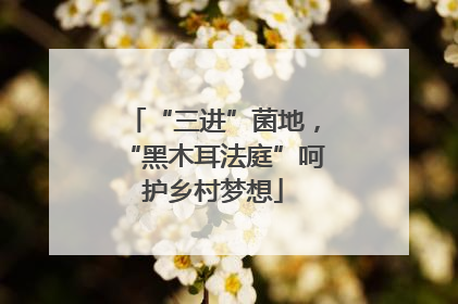 “三进”菌地，“黑木耳法庭”呵护乡村梦想