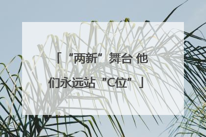 “两新”舞台 他们永远站“C位”