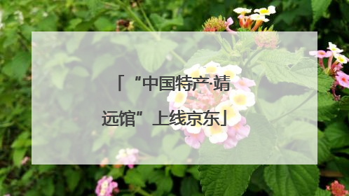 “中国特产·靖远馆”上线京东