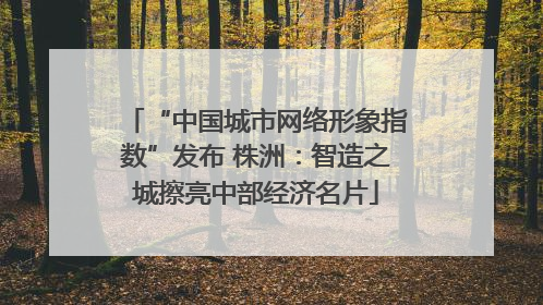“中国城市网络形象指数”发布 株洲：智造之城擦亮中部经济名片