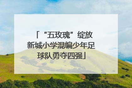 “五玫瑰”绽放 新城小学混编少年足球队勇夺四强