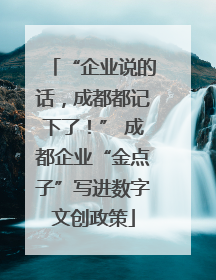 “企业说的话，成都都记下了！” 成都企业“金点子”写进数字文创政策