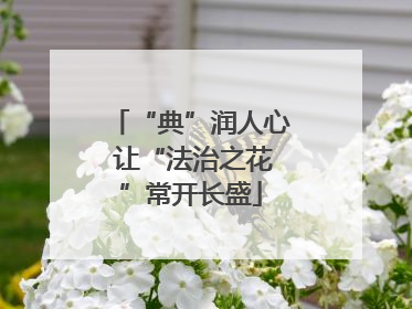 “典”润人心 让“法治之花”常开长盛