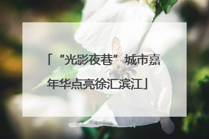 “光影夜巷”城市嘉年华点亮徐汇滨江