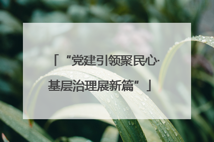 “党建引领聚民心·基层治理展新篇”