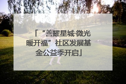 “善耀星城·微光暖开福”社区发展基金公益季开启