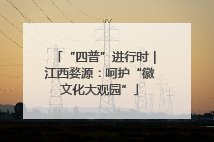 “四普”进行时｜江西婺源：呵护“徽文化大观园”