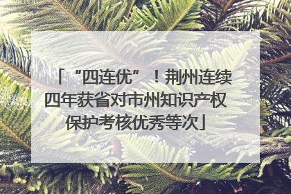 “四连优”！荆州连续四年获省对市州知识产权保护考核优秀等次