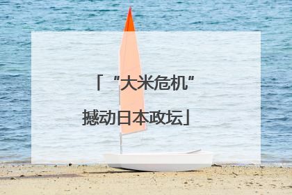 “大米危机”撼动日本政坛