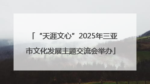 “天涯文心”2025年三亚市文化发展主题交流会举办