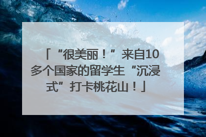 “很美丽！”来自10多个国家的留学生“沉浸式”打卡桃花山！