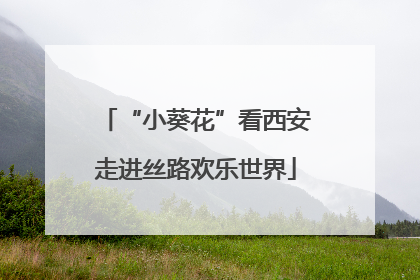 “小葵花”看西安走进丝路欢乐世界