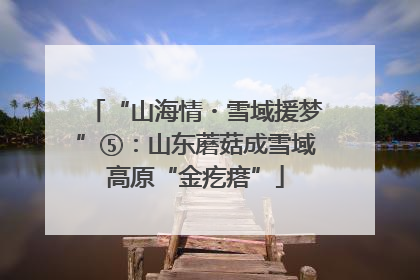 “山海情・雪域援梦”⑤：山东蘑菇成雪域高原“金疙瘩”