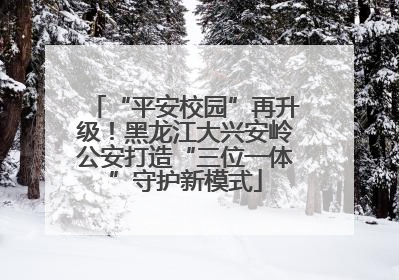 “平安校园”再升级！黑龙江大兴安岭公安打造“三位一体”守护新模式