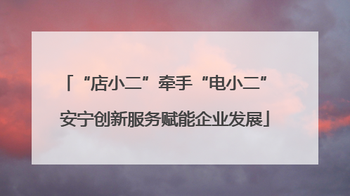 “店小二”牵手“电小二” 安宁创新服务赋能企业发展