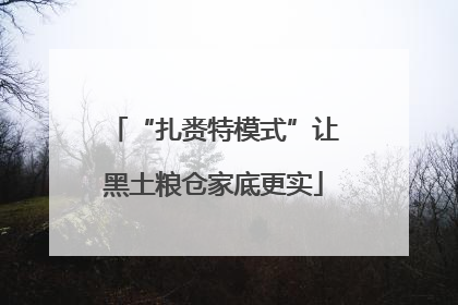 “扎赉特模式”让黑土粮仓家底更实