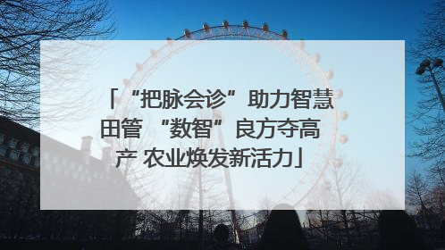 “把脉会诊”助力智慧田管 “数智”良方夺高产 农业焕发新活力