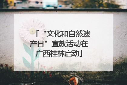 “文化和自然遗产日”宣教活动在广西桂林启动