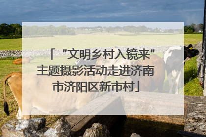 “文明乡村入镜来”主题摄影活动走进济南市济阳区新市村