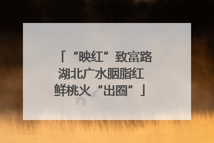 “映红”致富路 湖北广水胭脂红鲜桃火“出圈”