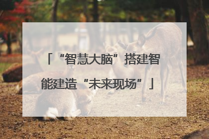 “智慧大脑”搭建智能建造“未来现场”
