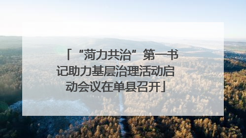 “菏力共治”第一书记助力基层治理活动启动会议在单县召开