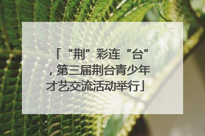 “荆”彩连“台”，第三届荆台青少年才艺交流活动举行