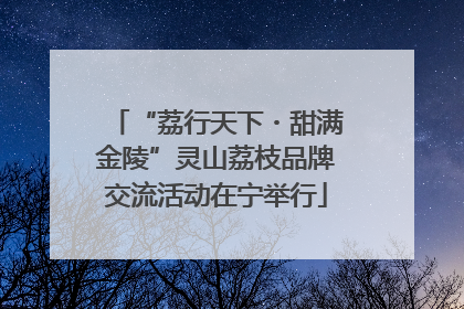 “荔行天下・甜满金陵”灵山荔枝品牌交流活动在宁举行
