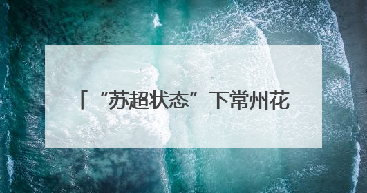 “苏超状态”下常州花式整活：游玩消费享抽奖机会，首轮特等奖将送理想 L6 Pro